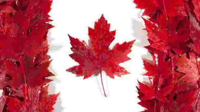 Новый цифровой банк в Канаде