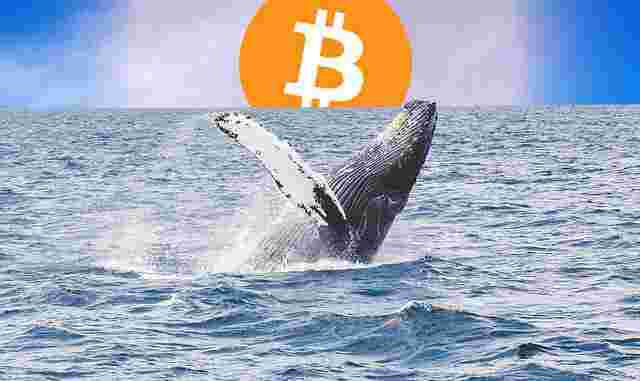 Сегодня за 2 часа киты переместили 16700 BTC ($122 млн)