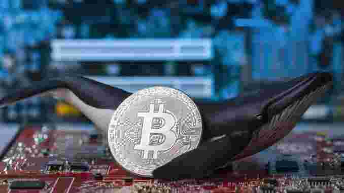 Аналитик: Киты манипулируют ценой BTC