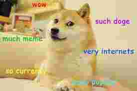 Dogecoin больше, чем просто мем